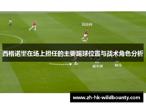 西格诺里在场上担任的主要踢球位置与战术角色分析