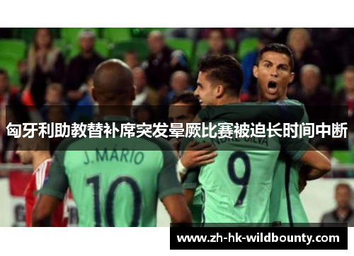 匈牙利助教替补席突发晕厥比赛被迫长时间中断 匈牙利助教替补席突发晕厥比赛被迫长时间中断