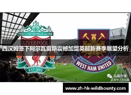 西汉姆签下阿尔瓦雷斯震撼加盟英超新赛季展望分析