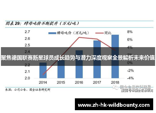 聚焦德国联赛新星球员成长趋势与潜力深度观察全景解析未来价值