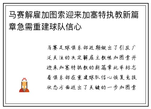 马赛解雇加图索迎来加塞特执教新篇章急需重建球队信心