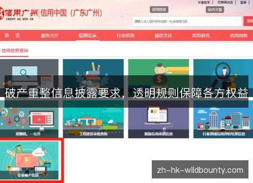 破产重整信息披露要求,透明规则保障各方权益 破产重整信息披露要求,透明规则保障各方权益